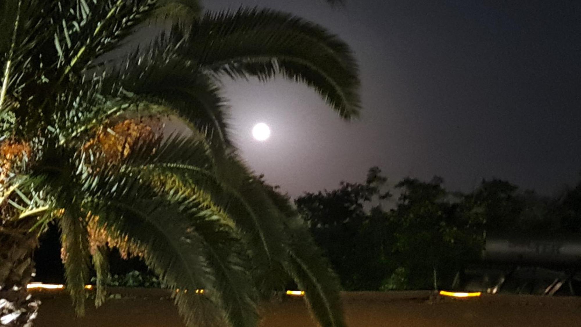 보우르보우로우 The Palms Novasithonia 아파트 외부 사진